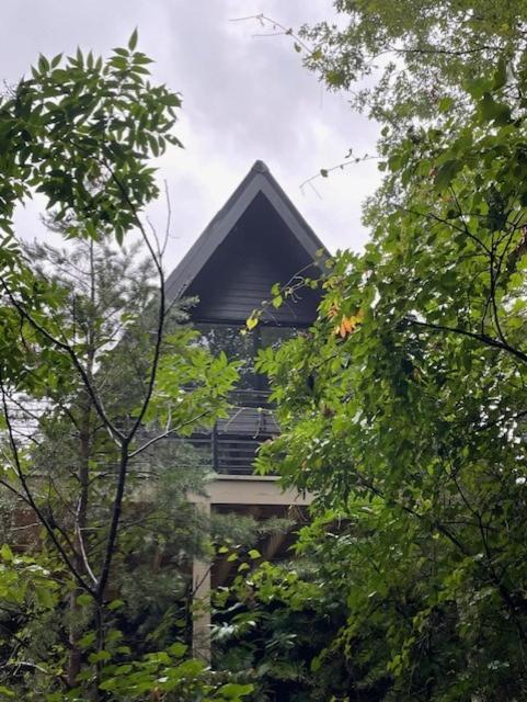 A Frame Of Mind Villa Dahlonega Luaran gambar